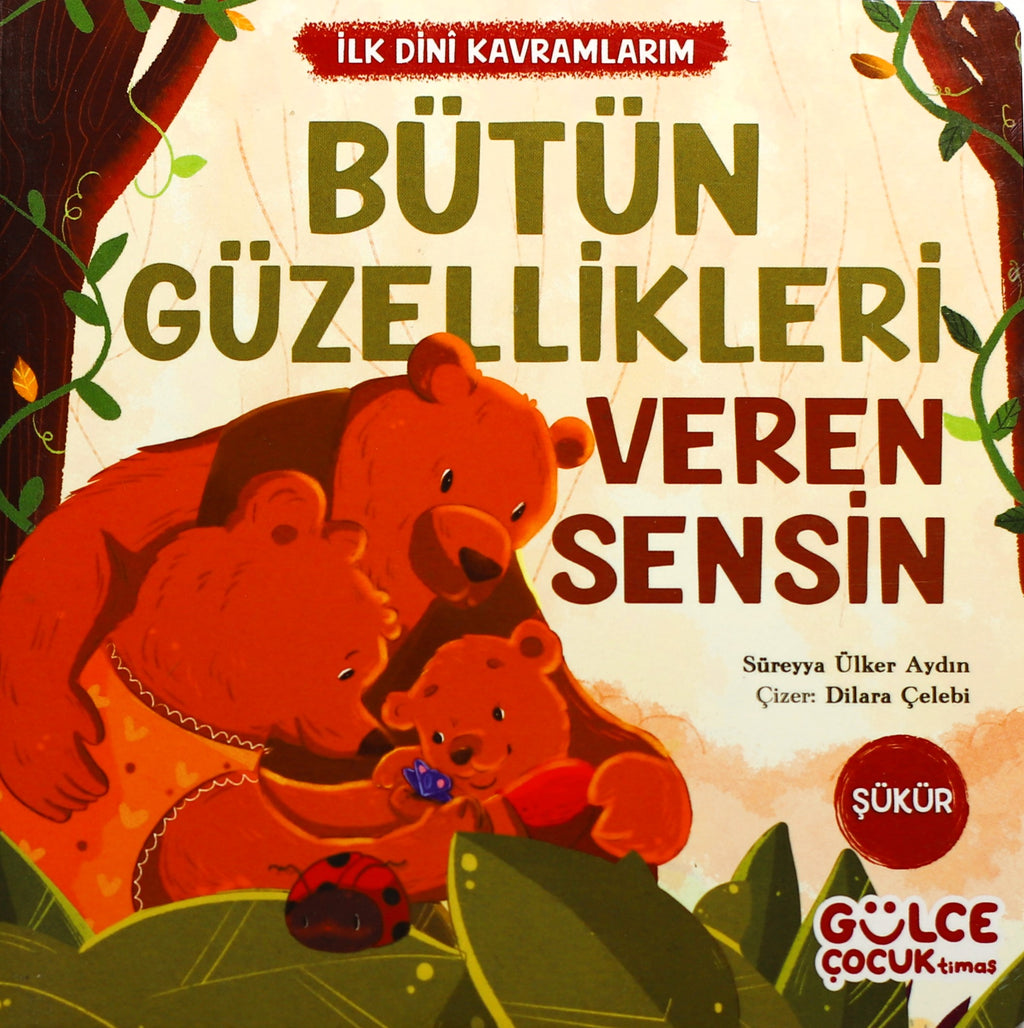 Bütün Güzellikleri Veren Sensin