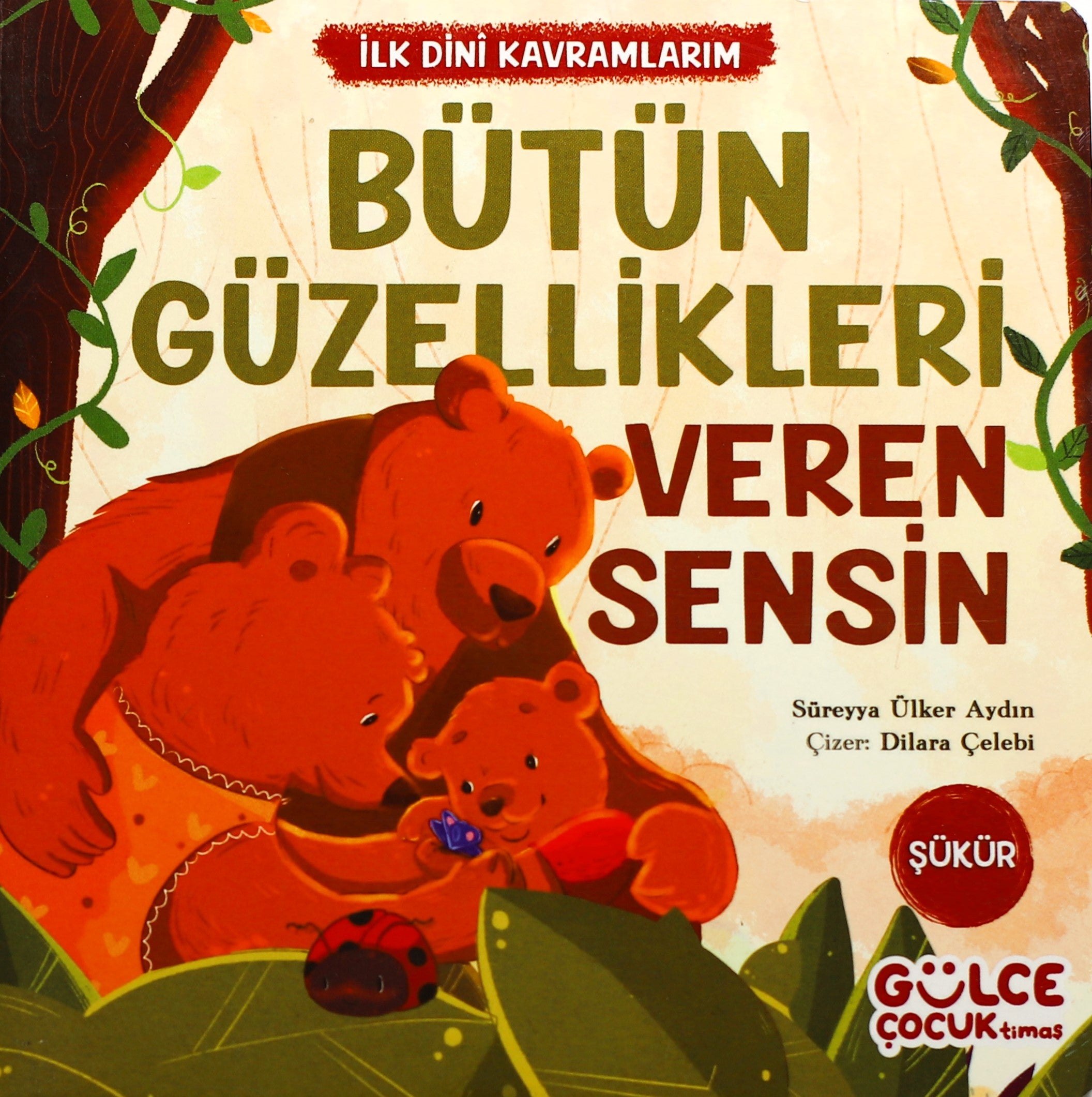 Bütün Güzellikleri Veren Sensin