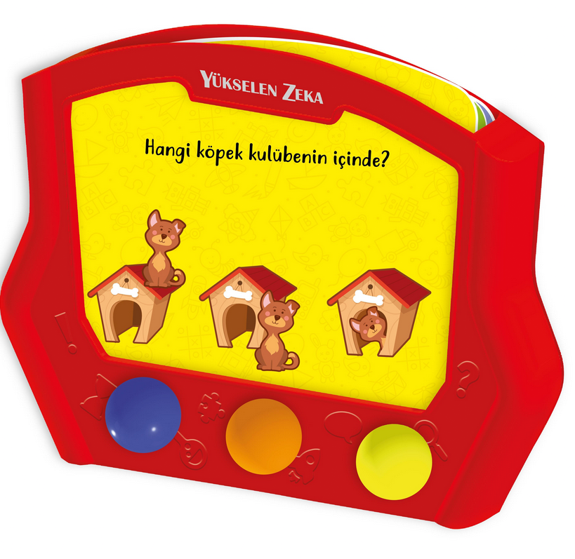 Intelligenzbox für 16-24 Monate